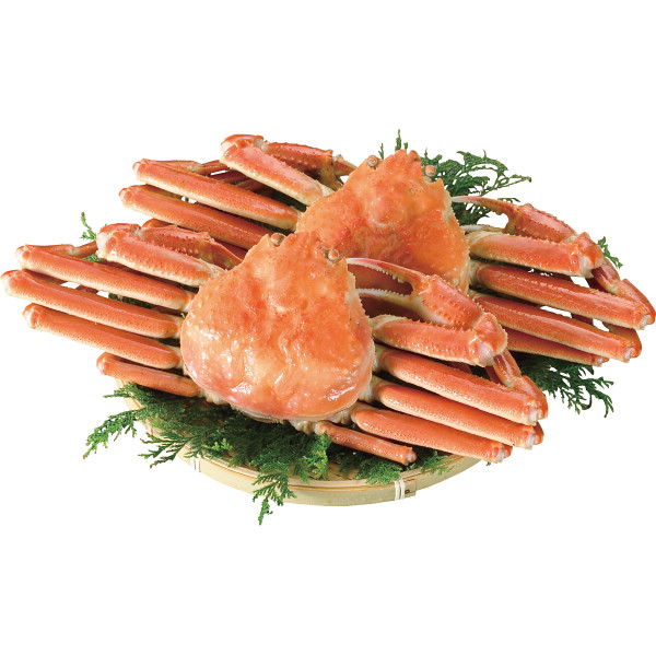 ボイルずわいがに姿(2杯　計1kg)