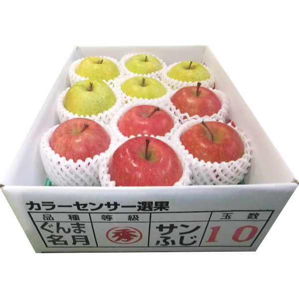 青森県産　サンふじ・ぐんま名月(2.5kg)