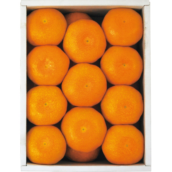 佐賀県産JAグループ佐賀温室みかん(1.5kg)