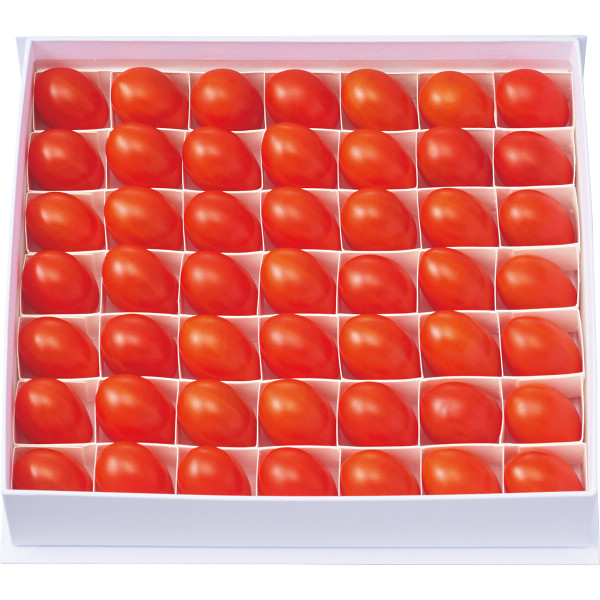 オスミックファーストプリンセス(450g)