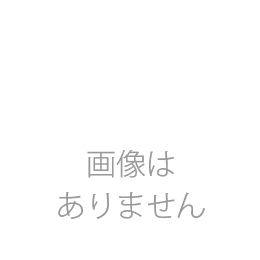 今助　地粉うどん詰合せ　ふじ娘　12人前